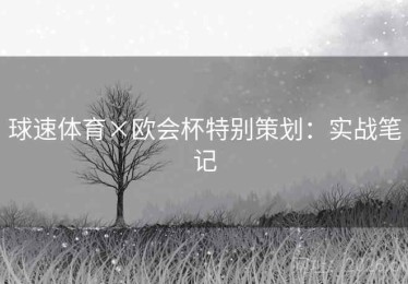 球速体育×欧会杯特别策划：实战笔记