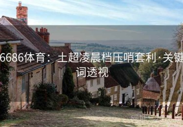 6686体育：土超凌晨档压哨套利·关键词透视