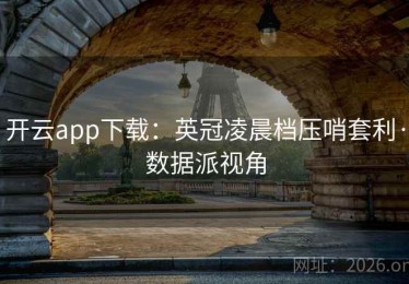 开云app下载：英冠凌晨档压哨套利·数据派视角