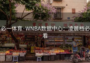 必一体育·WNBA数据中心：凌晨档必看