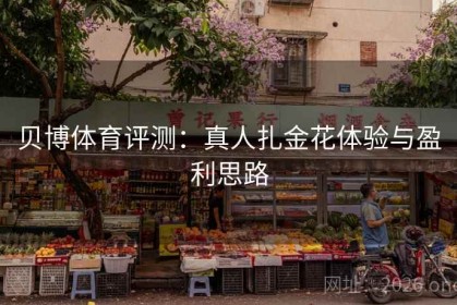 贝博体育评测：真人扎金花体验与盈利思路