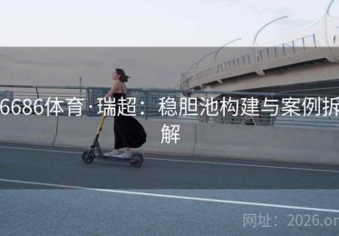 6686体育·瑞超：稳胆池构建与案例拆解
