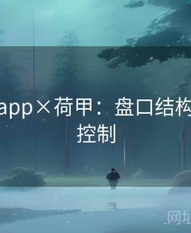 博天堂app×荷甲：盘口结构与风险控制