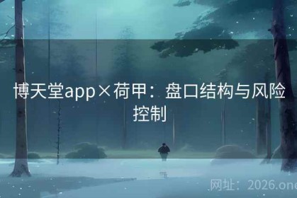 博天堂app×荷甲：盘口结构与风险控制