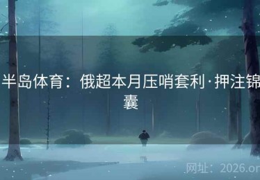 半岛体育：俄超本月压哨套利·押注锦囊