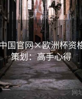 kaiyun中国官网×欧洲杯资格赛特别策划：高手心得