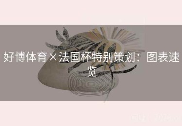 好博体育×法国杯特别策划：图表速览