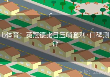 b体育：英冠德比日压哨套利·口碑测评