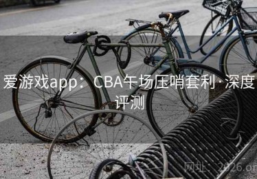 爱游戏app：CBA午场压哨套利·深度评测