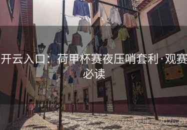 开云入口：荷甲杯赛夜压哨套利·观赛必读
