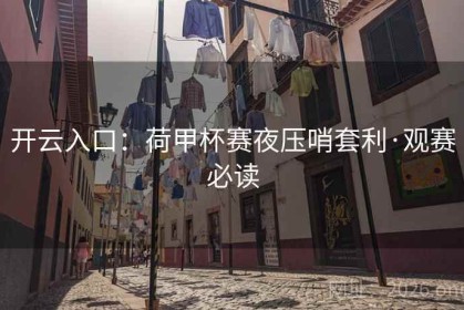开云入口：荷甲杯赛夜压哨套利·观赛必读
