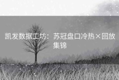 凯发数据工坊：苏冠盘口冷热×回放集锦