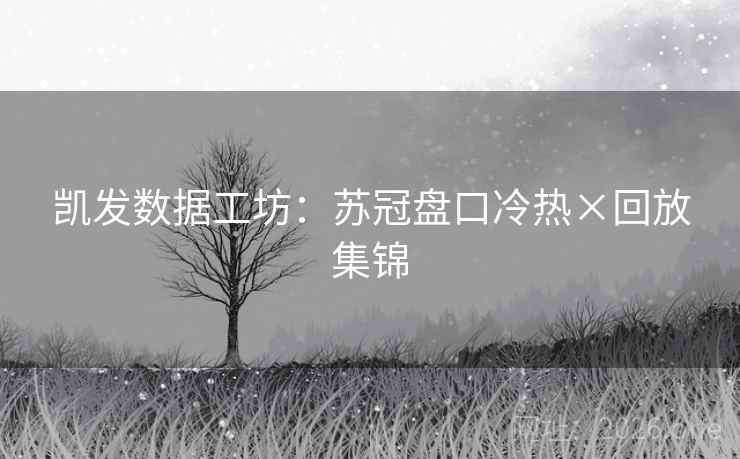 凯发数据工坊：苏冠盘口冷热×回放集锦