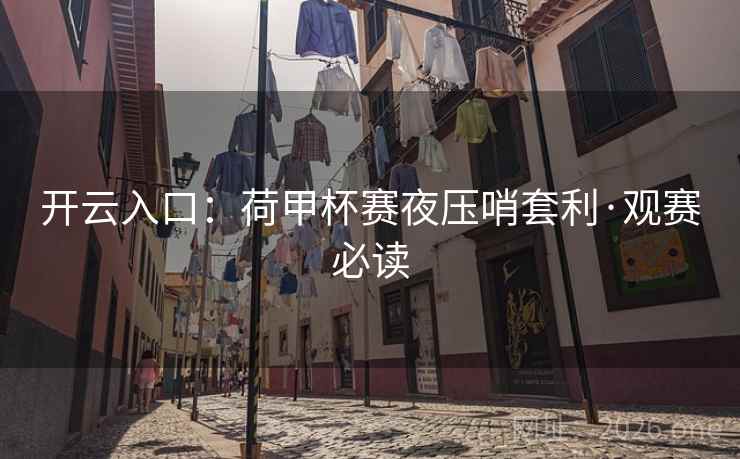 开云入口：荷甲杯赛夜压哨套利·观赛必读