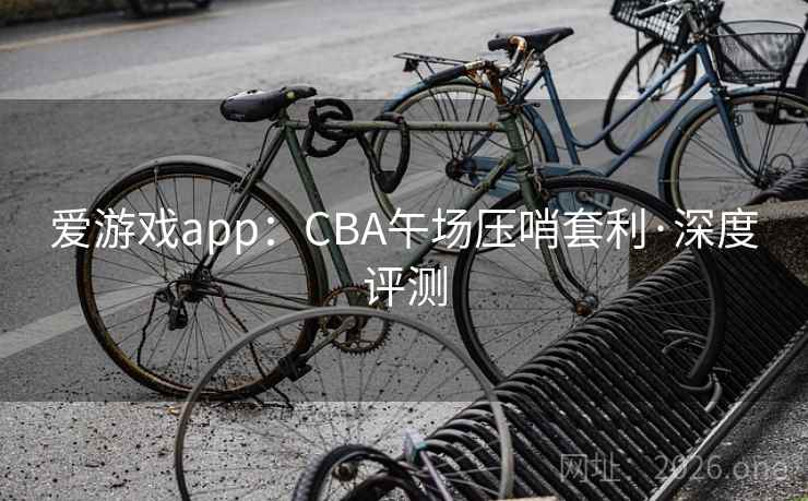 爱游戏app:CBA午场压哨套利·深度评测 爱游戏app:CBA午场压哨套利·深度评测