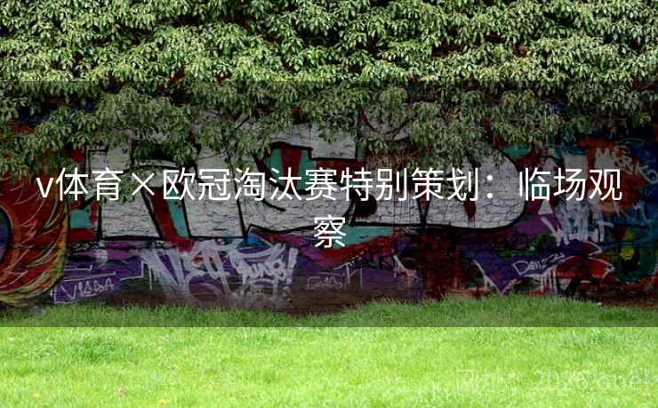 v体育×欧冠淘汰赛特别策划:临场观察 v体育×欧冠淘汰赛特别策划:临场观察