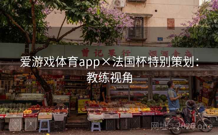 爱游戏体育app×法国杯特别策划：教练视角